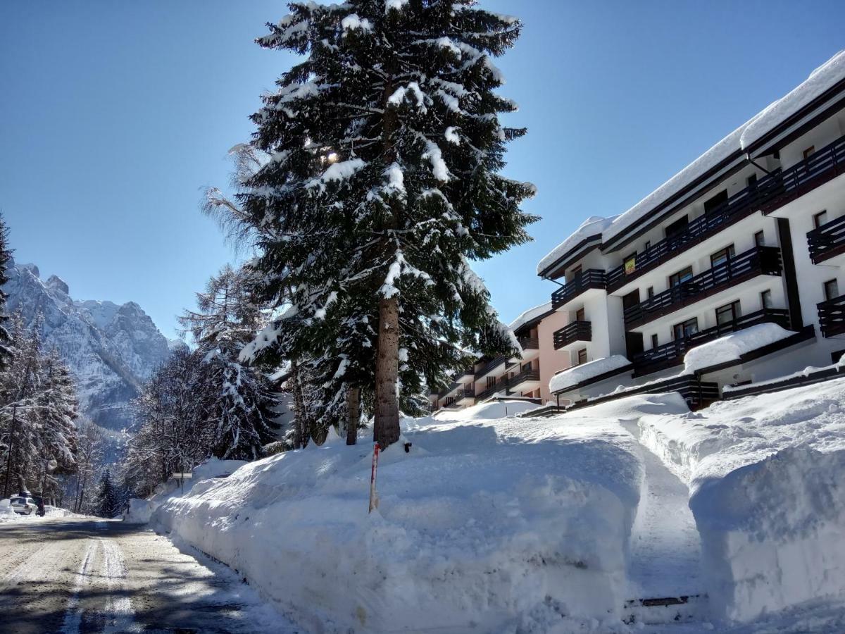 Apartament Casa Cinque Funghi A Folgarida Zewnętrze zdjęcie