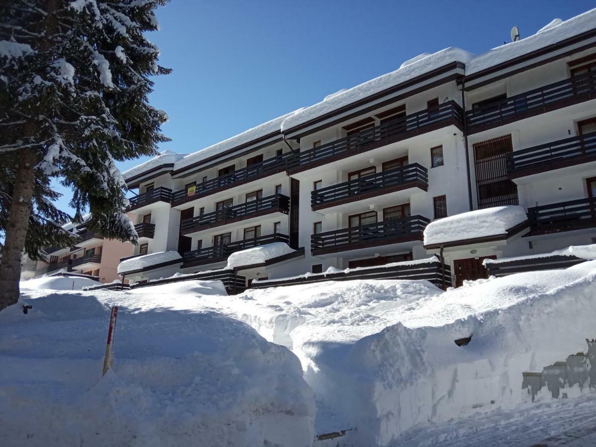 Apartament Casa Cinque Funghi A Folgarida Zewnętrze zdjęcie